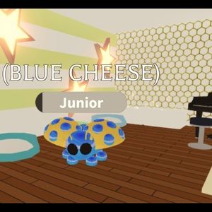 ( SELLING ) Adopt Me Dimond Ladybug for Cash App ONLY!